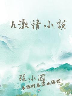 h激情小说