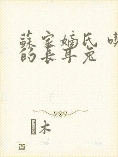 苏家嫡氏 吃肉的长耳兔