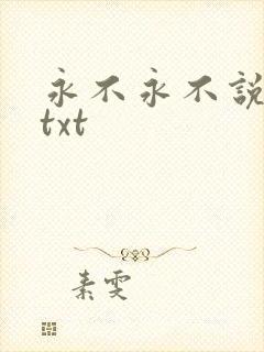 永不永不说再见txt