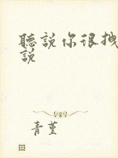 听说你很拽啊小说