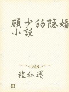 顾少的隐婚罪妻小说
