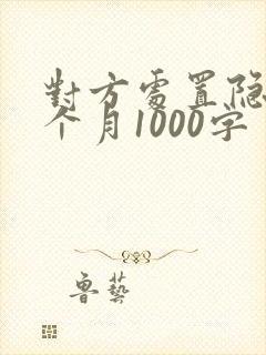 对方处置隐私一个月1000字