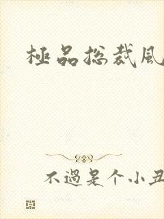 极品总裁风流录