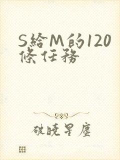 S给M的120条任务