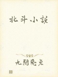 北斗小说