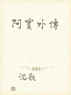 阿宾外传