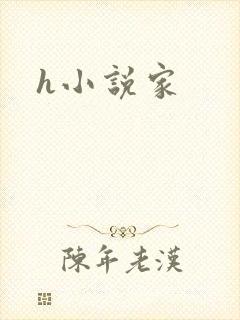 h小说家