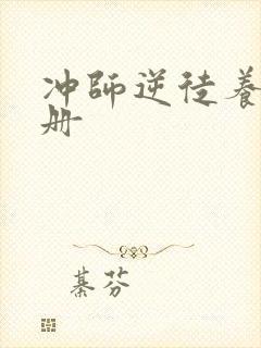 冲师逆徒养成手册