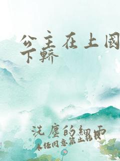 公主在上国师请下轿