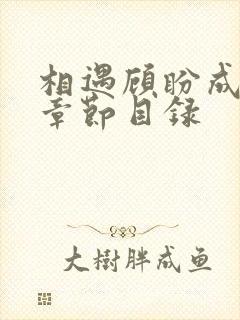 相遇顾盼成欢全章节目录