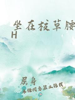 坐在校草腰上动H