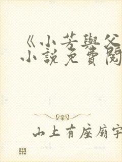 《小芳与父亲》小说免费阅读