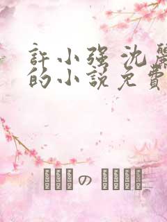 许小强 沈丽娟的小说免费阅读