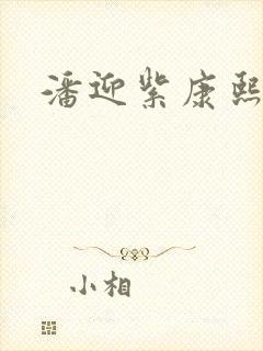 潘迎紫康熙来了