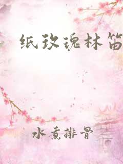 纸玫瑰林笛儿