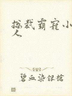 总裁霸宠小小女人