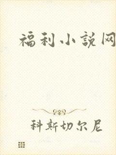 福利小说网