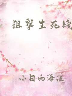 狙击生死线小说