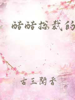 酷酷总裁的情人