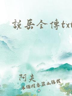 说岳全传txt