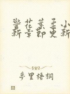 警花叶柔小说最新章节更新