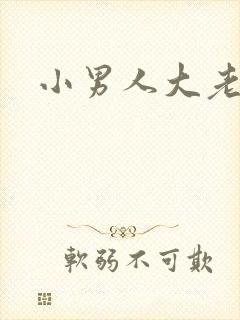 小男人大老婆