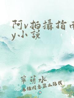 阿v拍摄指南by小说
