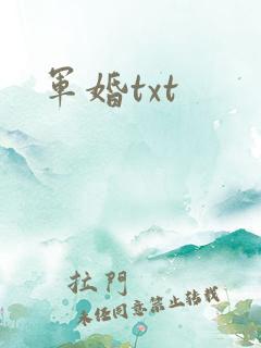 军婚txt
