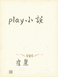 play小说