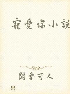 宠爱你小说