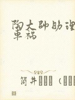 陶大帅助理子豪车祸