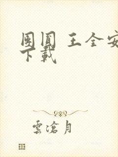 团圆 王全安 下载