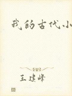 我的古代小夫侍