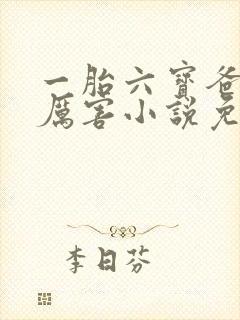 一胎六宝爸比好厉害小说免费阅读