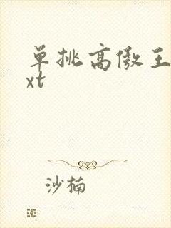 单挑高傲王子txt