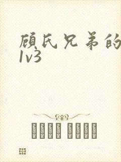 顾氏兄弟的南宁1v3