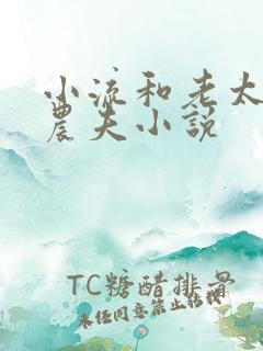 小流和老太69农夫小说