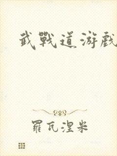 武战道游戏