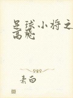 足球小将之展翅高飞