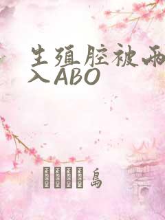 生殖腔被两根进入ABO