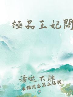 极品王妃闹王府