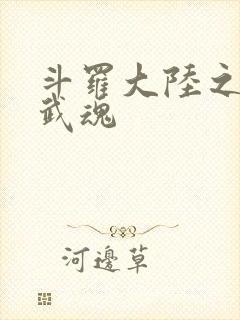 斗罗大陆之三生武魂