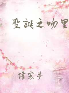 圣诞之吻里沙篇