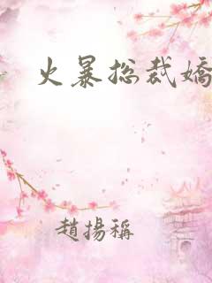 火暴总裁娇柔妻