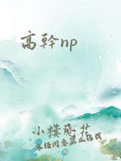 高干np