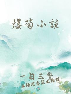 爆菊小说