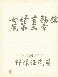 女婿有劲枪枪到底第三章