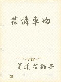 花怜车肉