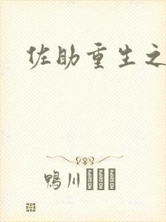 佐助重生之死神