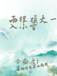 两根硕大一起挤入小雪